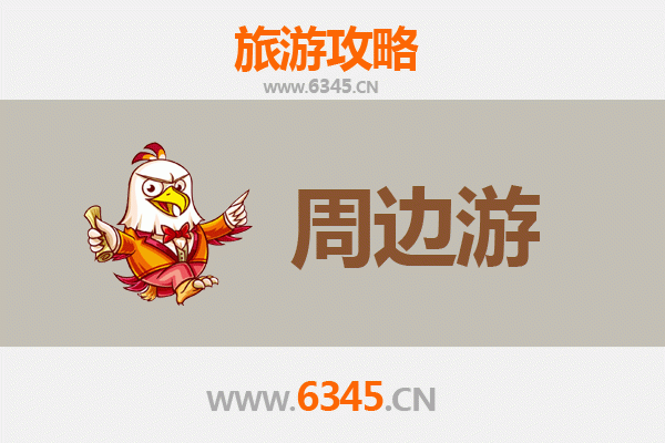 定安国营中瑞农场周边游攻略：探秘海南岛的自然与文化瑰宝